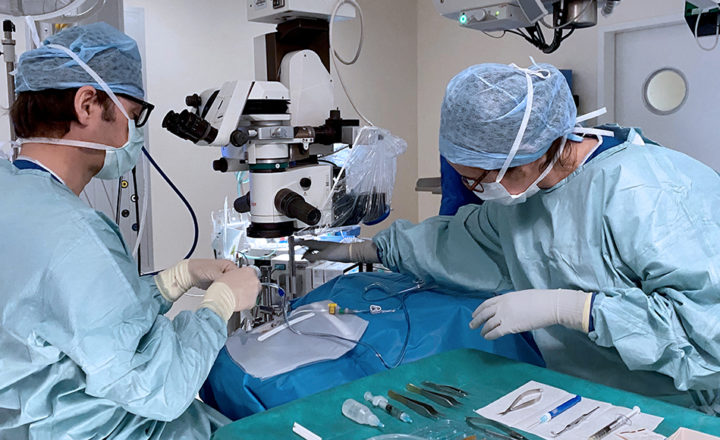 La première thérapie génique ophtalmique de Suisse romande vient d’être réalisée à l’Hôpital ophtalmique Jules-Gonin de Lausanne.