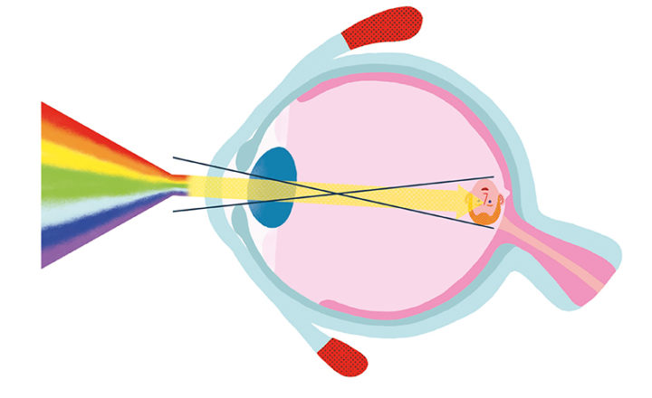 Schéma de la perception de la lumière par l'oeil