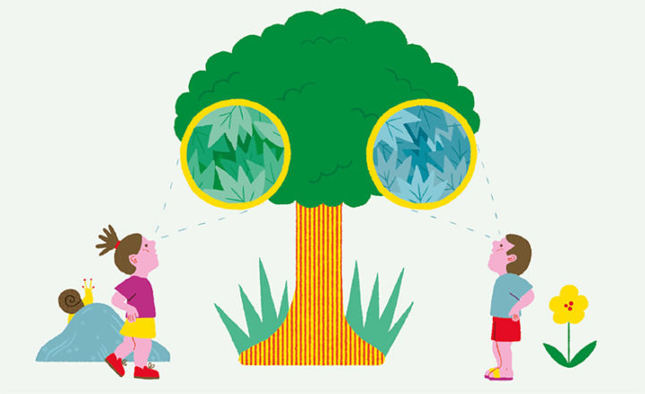 Illustrartion du daltonisme