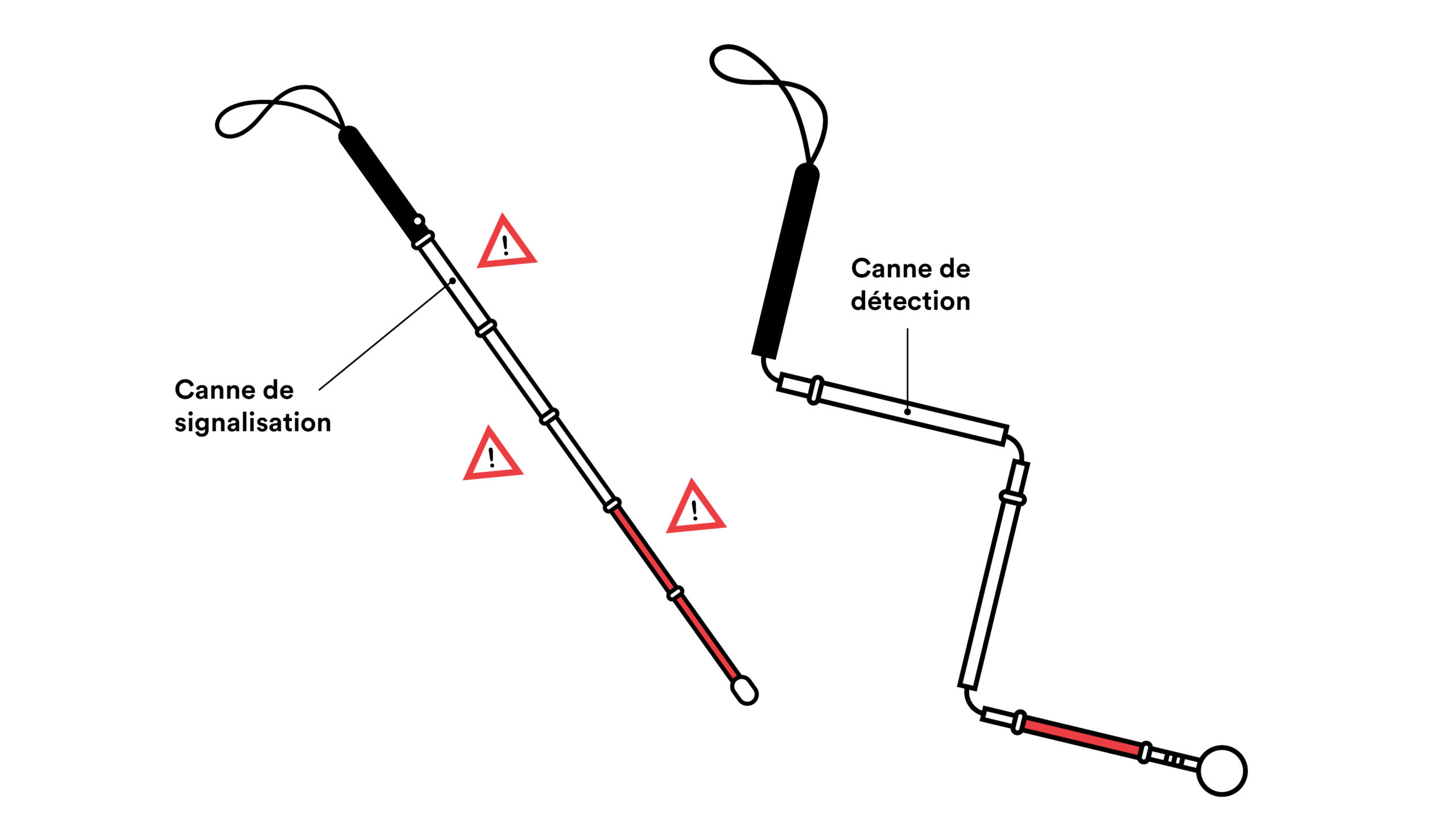 Infographie de la canne blanche