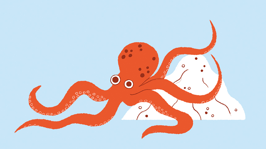 Illustration d'un poulpe