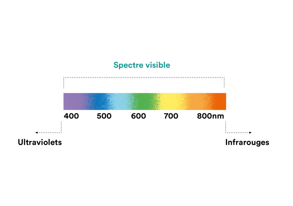 Spectre visible 
