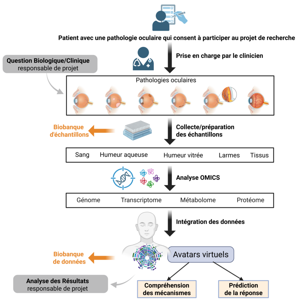 Schéma du projet BIOphtalMICS. 
