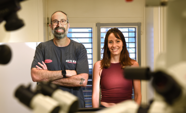 David G. Litvin, Alexia Boizot